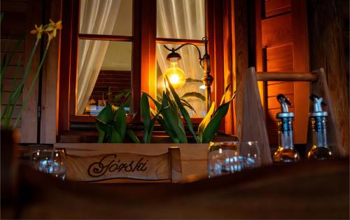 Hotel Górski