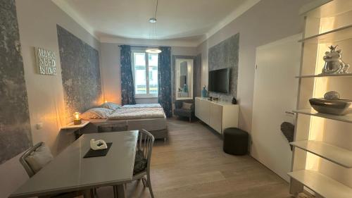 Ignaz 28 Apartment#1, Salzburg (Foto 3)