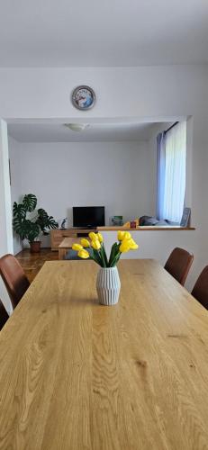 Apartments Jure
