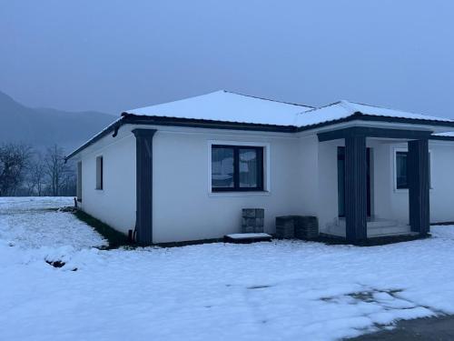 Vila Selena in Oncesti