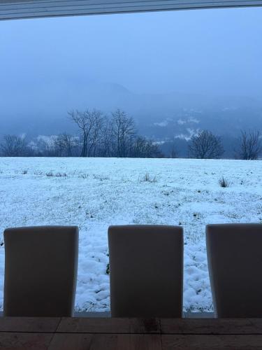 Vila Selena in Oncesti