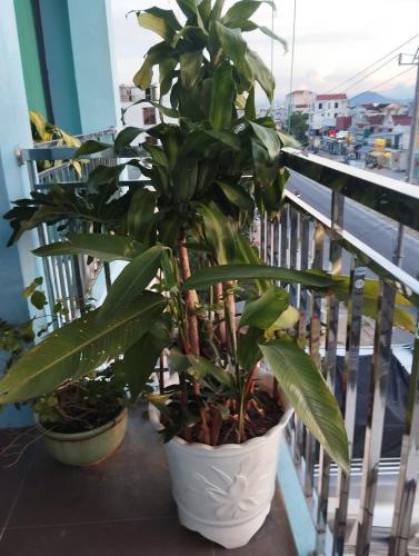 Phuong Dong Hue Homestay