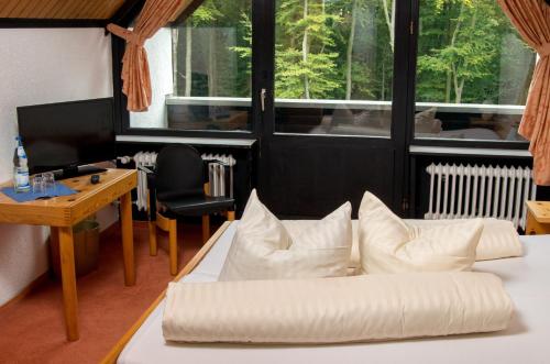 維斯特瓦爾德酒店 (Landhotel Westerwald) in 埃爾沙伊德