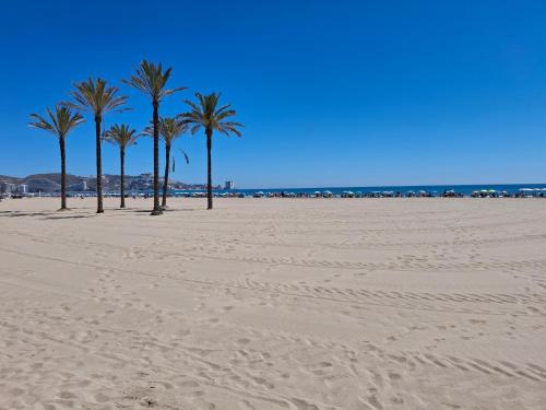 Cullera Mar Azul, Кульера