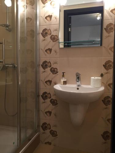 Casa Transilvania - image 3