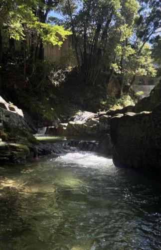 OSAKA GUEST HOUSE つながる旅の宿-en house-