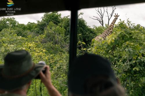 . Chobe River Lodge