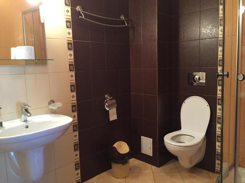 Casa Transilvania - image 7