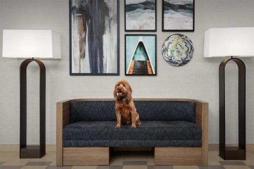 Homewood Suites by Hilton Seattle/Lynnwood - Hotel