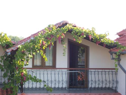 Sirines Studios