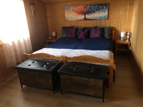 Chalet Mex 15 in Mex