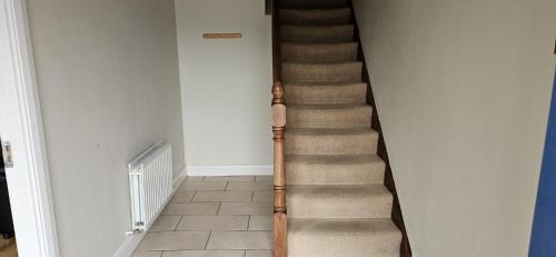 Bunratty Holiday Homes - image 10