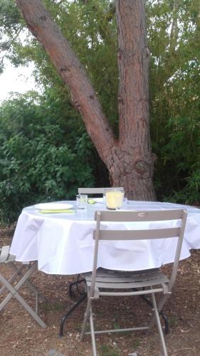 Garden, Nice apartment with garden near Restaurant Les Terribles
