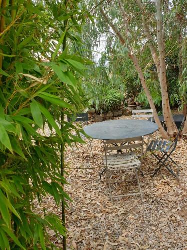 Garden, Nice apartment with garden near Restaurant Les Terribles