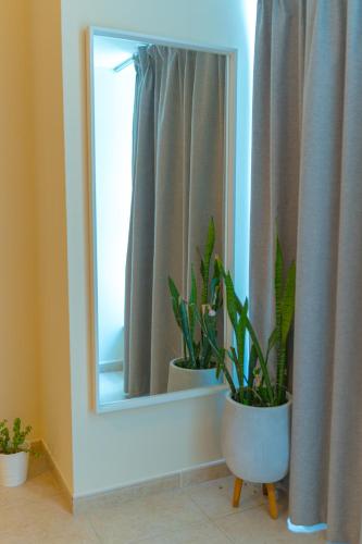 Urban 1BHK Apartment with Sea View, Dubai (photo 4)