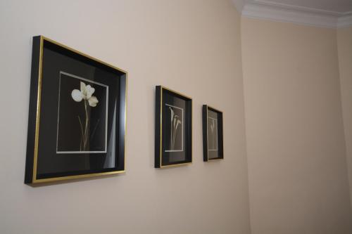 Townhead Apartments Gallery View - image 9
