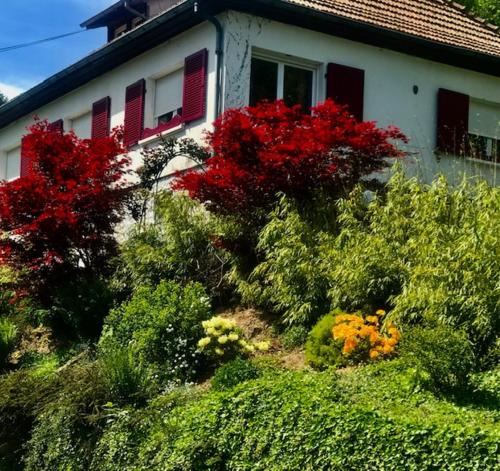 Gite Chez Mimie gîte à louer Breitenbach-Haut-Rhin