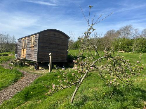 Зовнішній вигляд готелю, Robins Retreat - Shepherds Hut Alfriston in Олфрістон