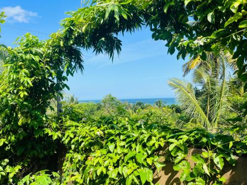The Green Chambers - Ocean & Jungle View Rooftop - image 5