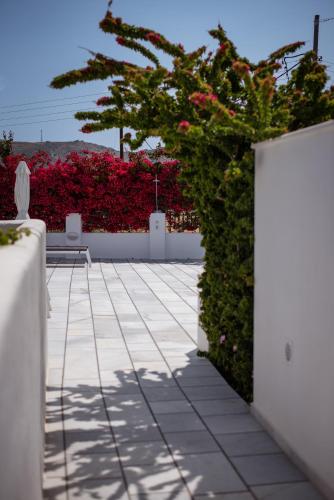 Ikaros Studios & Apartments, Naxos Chora (Foto 8)