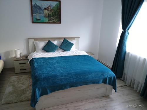 Casa FLOREA in Vama Buzaului