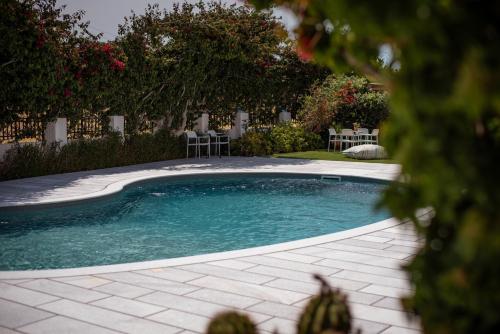 Ikaros Studios & Apartments, Naxos Chora (Foto 10)