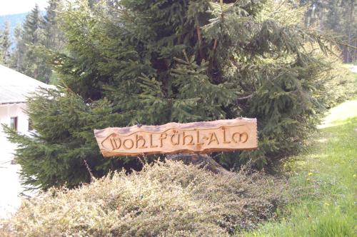 Wohlfühl-Alm in Kötsch