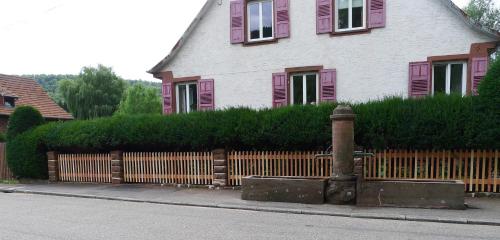 Un gîte dans la vallée - Apartment - Obersteinbach