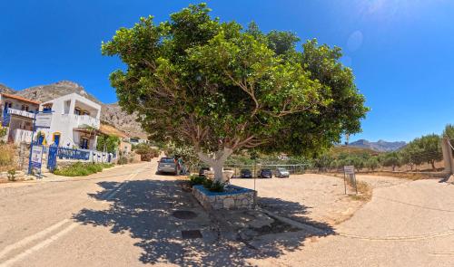 Themelina Studios - image 11