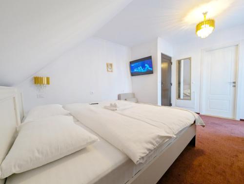 PARC PINI RESORT - Hotel - Moineşti