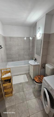 Al Studio, Sînpetru (fotografie 11)