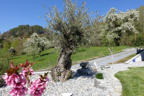 花园, Ferienwohnung Studio Süßenmühle (Ferienwohnung Studio Sußenmuhle) in 西普林根