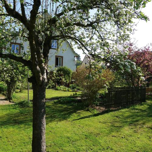 Un gîte dans la vallée - image 9