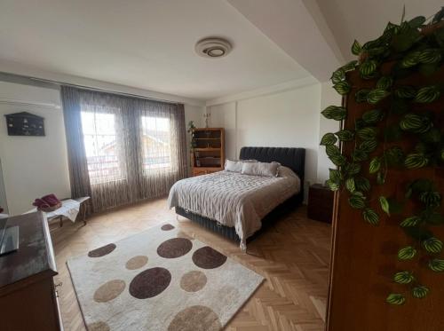Gjakova Apartment in Dakovica