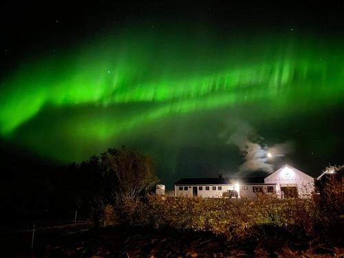 Fellskotshestar Guesthouse in Selfoss