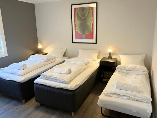 3BR Penthouse in city center with free parking in St. Hanshaugen