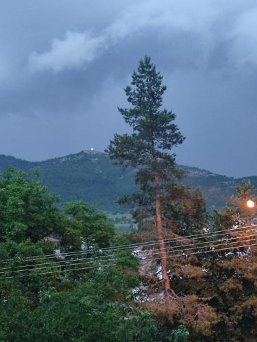 Кулинарна къща за гости СОФРИЦА, Hvoyna (fotografie 9)