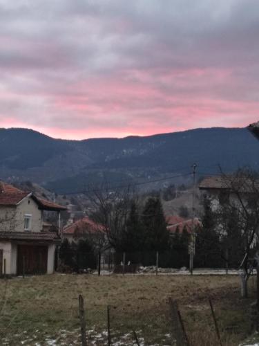 Кулинарна къща за гости СОФРИЦА, Hvoyna (fotografie 10)