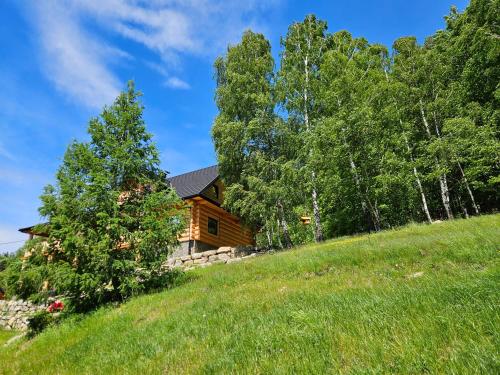 AleBale Przesieka luksusowy dom z bali z widokiem na Karkonosze