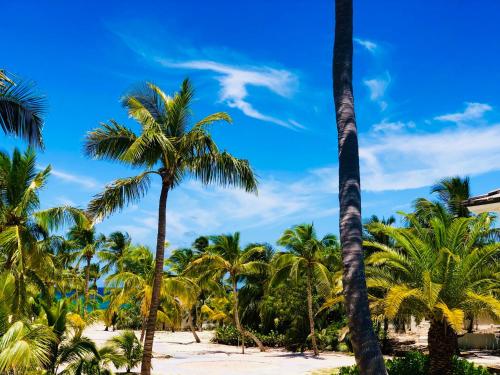 Garden, The Potlatch Club Boutique Hotel in Governors Harbour