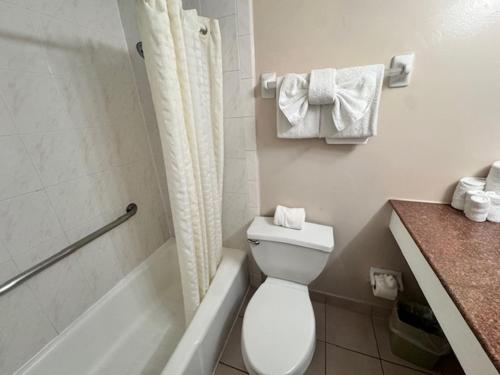 Clearwater Beach Hotel Suites