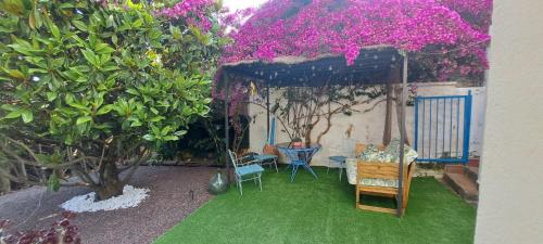 SUITE Bougainvillea in Can Farell