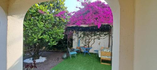 SUITE Bougainvillea in Can Farell
