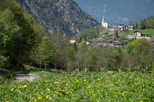 Accommodation in Rhêmes-Saint-Georges