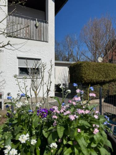 外部景觀, WEIDEN51 - Apartment für Business & Familien (WEIDEN51 - Apartment fur Business & Familien) in 福斯滕費爾德布魯克