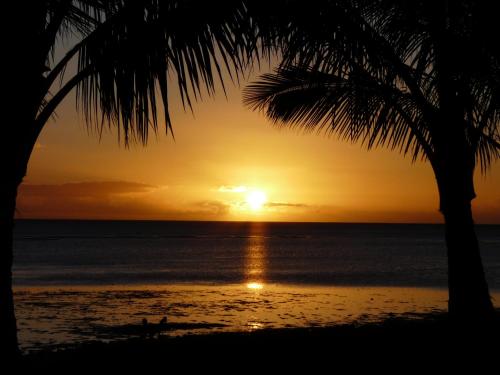 Ka Hale Kealoha - image 7