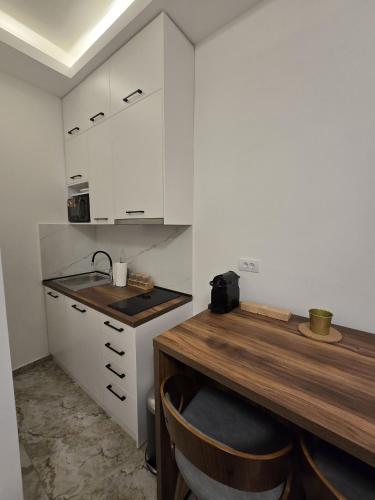 베오그라드 Slavija Residence Apartments 4성급 게스트하우스 전망