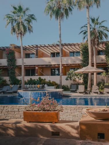Hotel Los Patios in Cabo San Lucas, Mexico