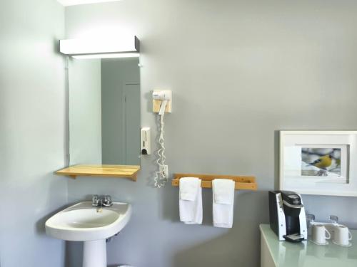 Hôtel le Pionnier Enr.