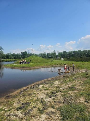 Bos & Pingo in Kollumerland en Nieuwkruisland